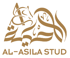 إسطبل الأصيلة